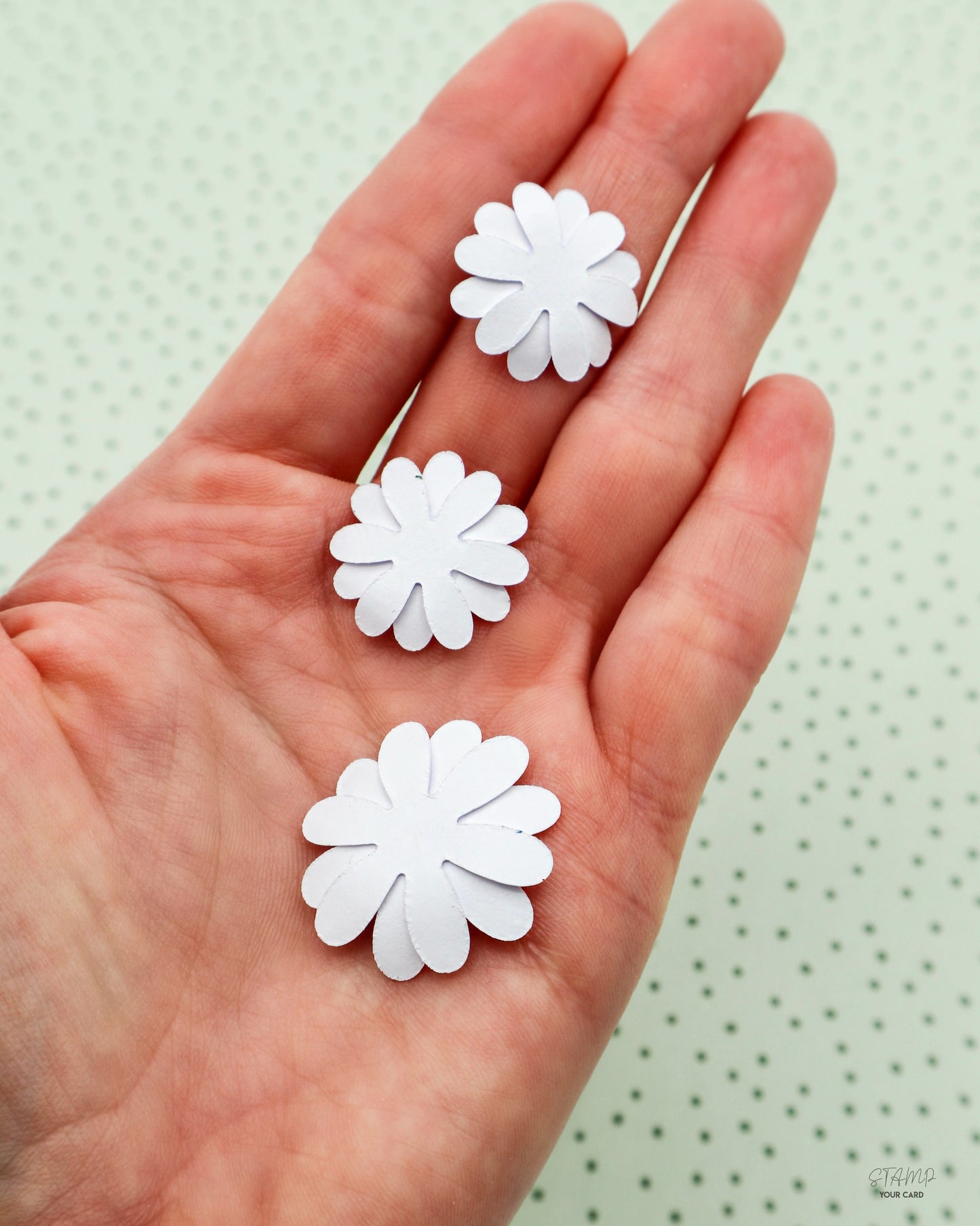 BLUMENSET zur Hochzeit