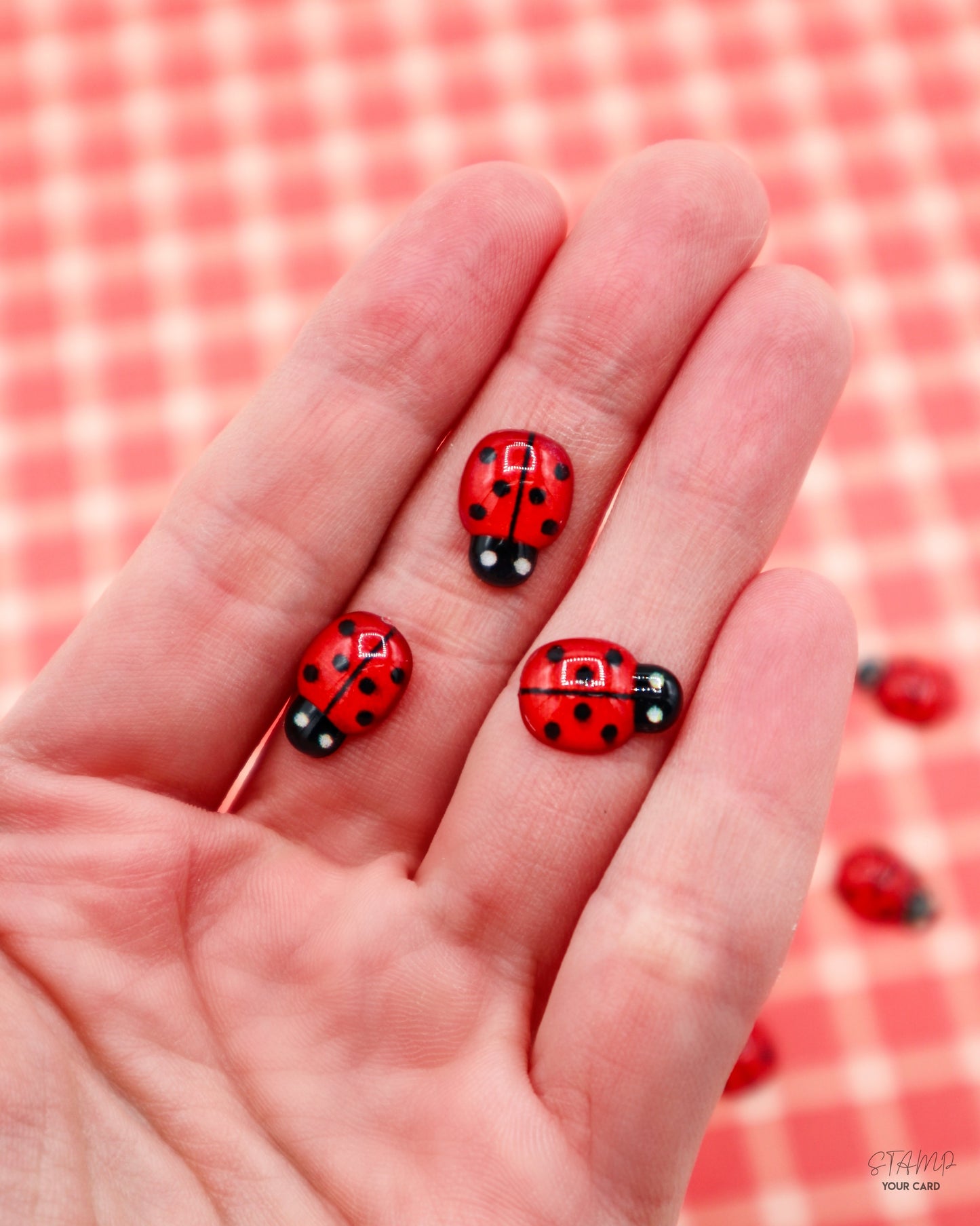 love BUGS, 2D Miniatur Marienkäfer