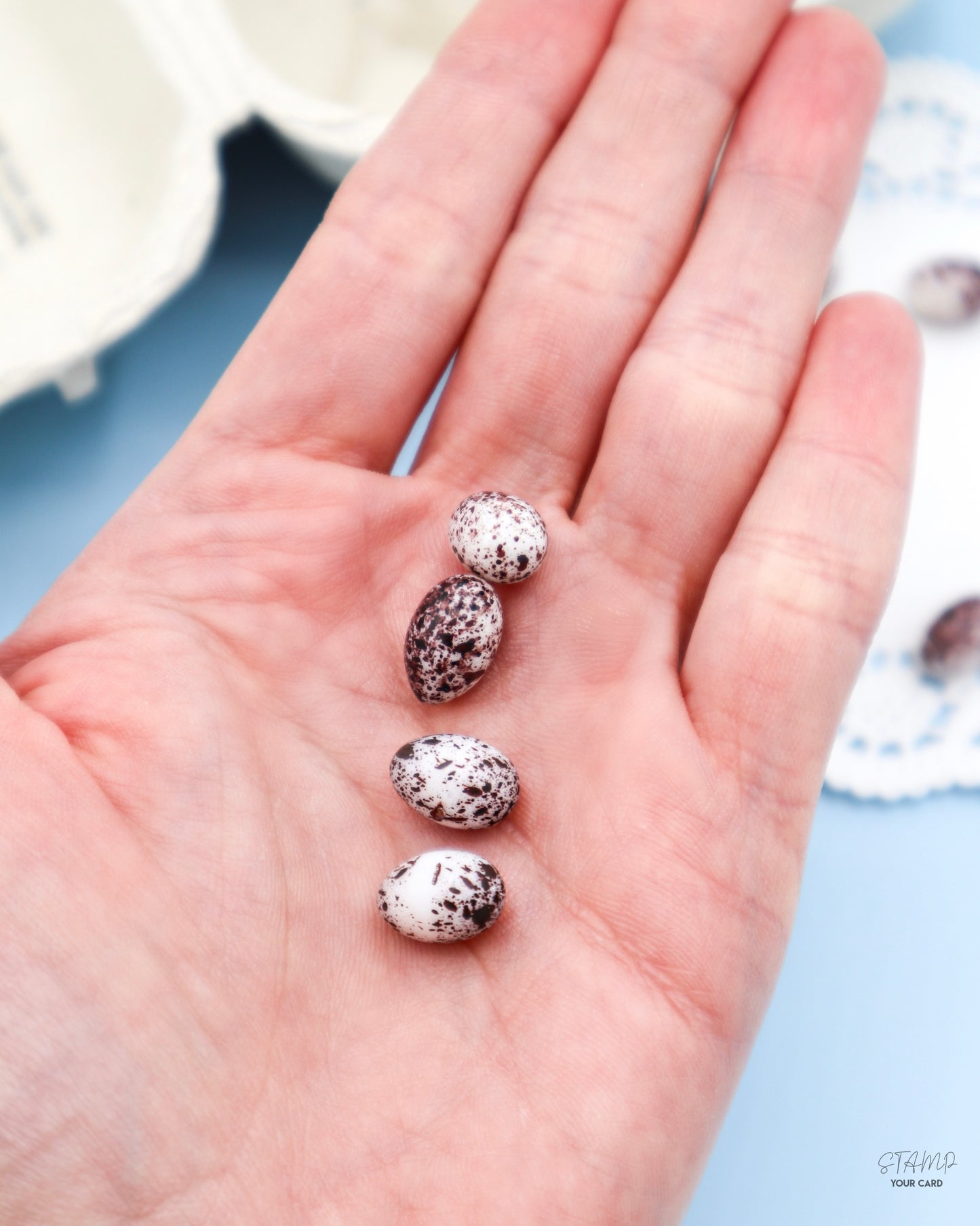 quail EGGS, Miniatur Wachteileier