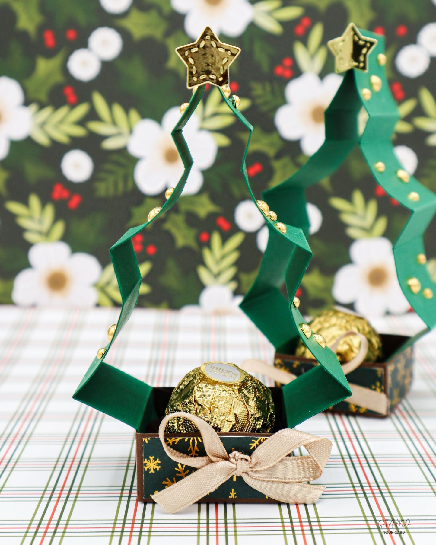 TANNENBAUM Verpackung 2er SET