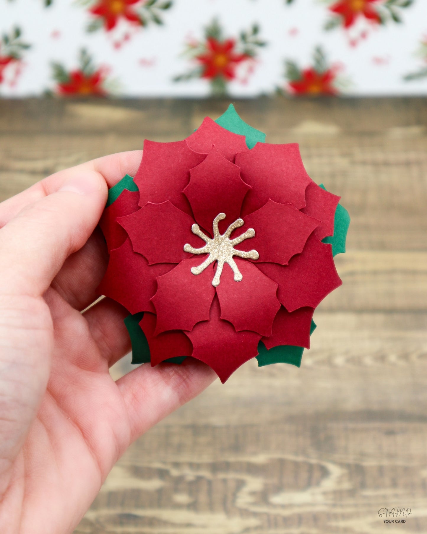 WEIHNACHTSSTERNE rot 2er SET