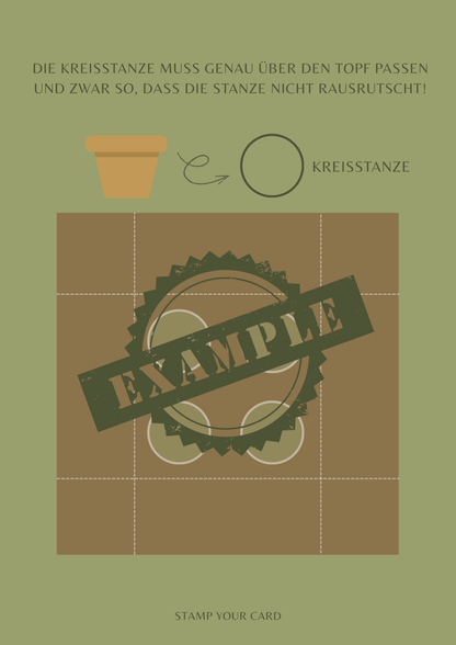 Pralinen Gewächshaus - Maße & Falzlinien in cm Angaben (PDF-Download) DEUTSCH