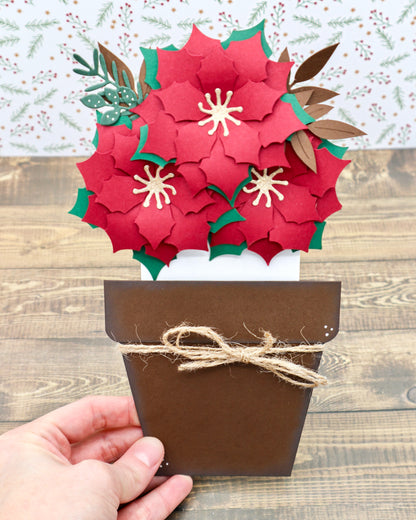 Blumentopfkarte Weihnachtsstern