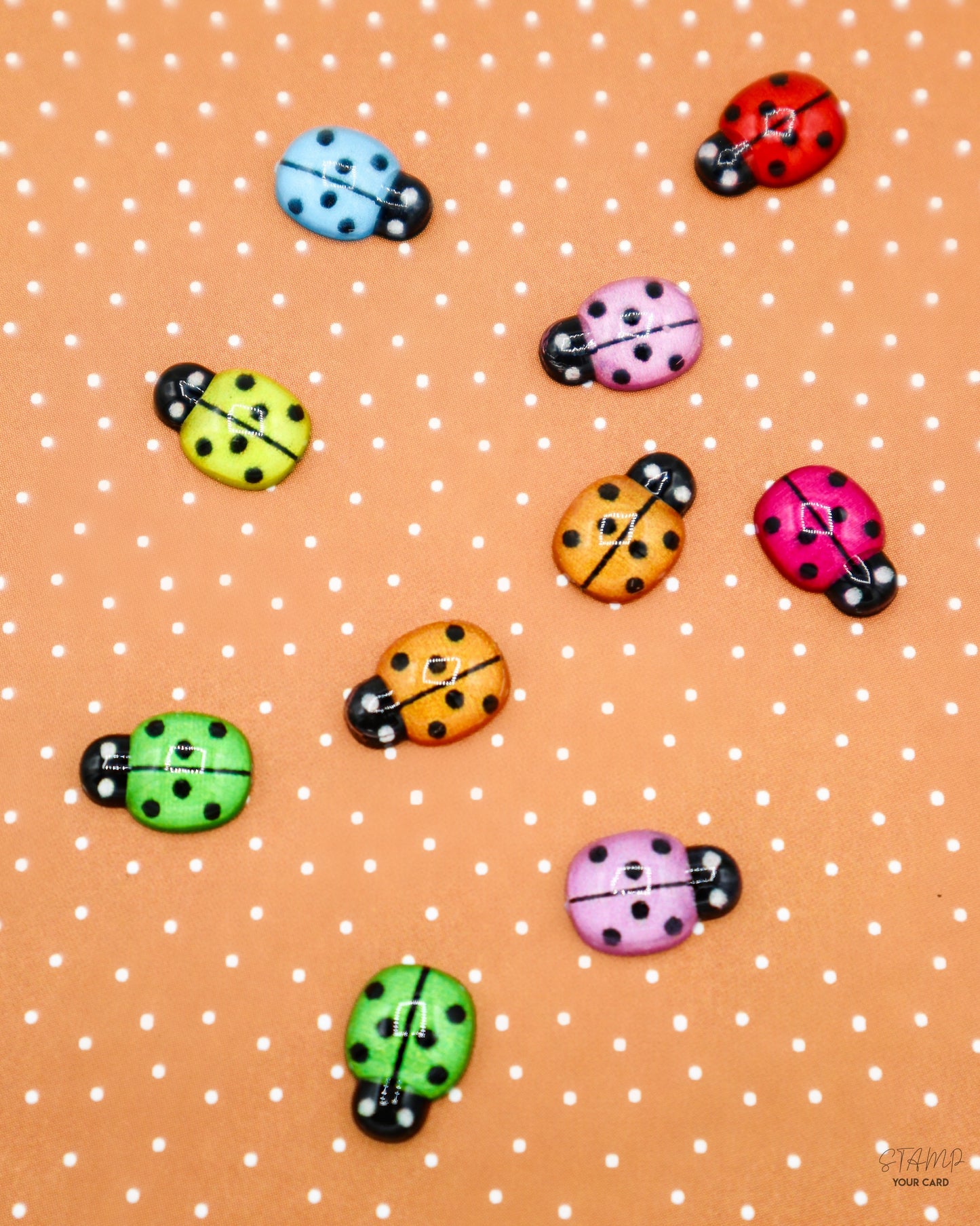 love BUGS, 2D Miniatur Marienkäfer