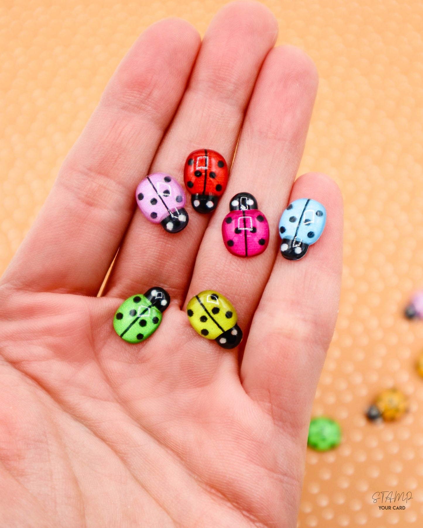 love BUGS, 2D Miniatur Marienkäfer