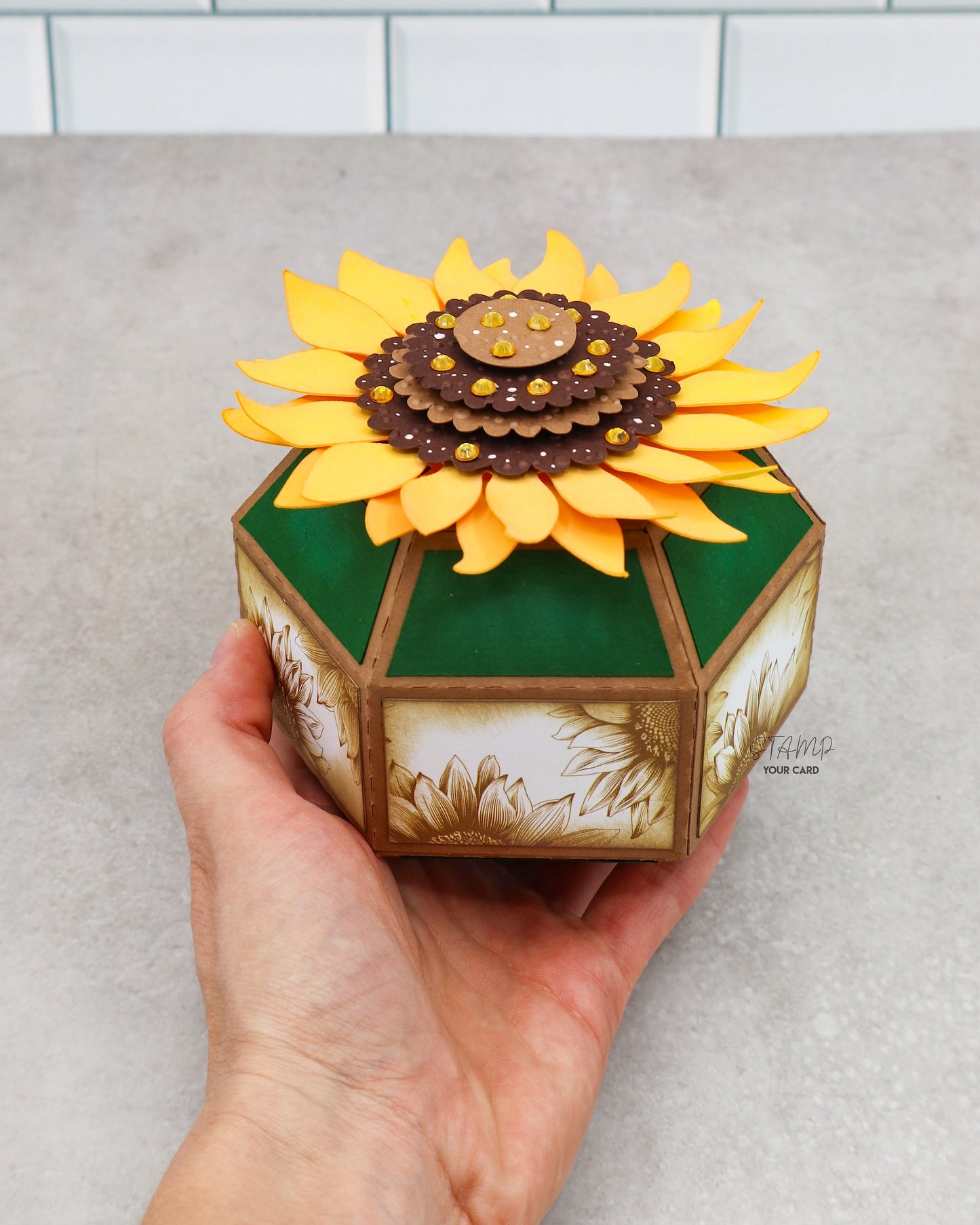 SONNENBLUMENBOXEN 2er SET