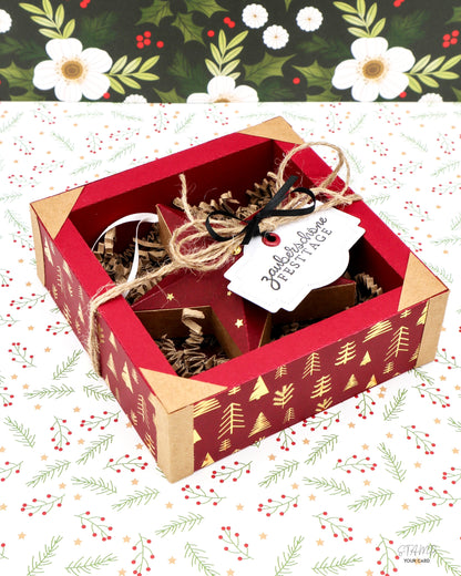 STERNANHÄNGER mit GESCHENKBOX