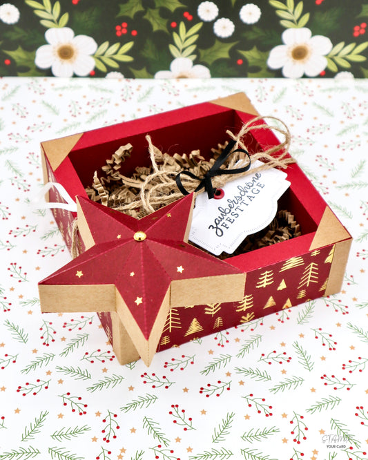 STERNANHÄNGER mit GESCHENKBOX