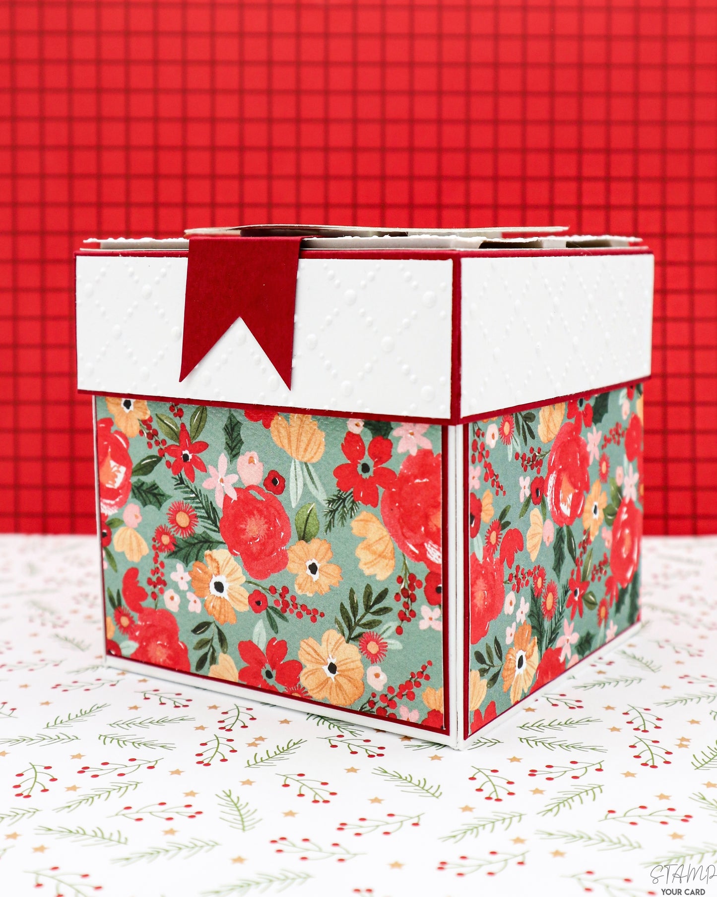 BÜCHER Weihnachtsexplosionsbox