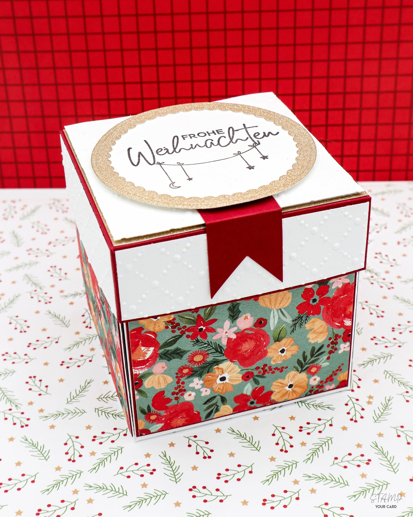 BÜCHER Weihnachtsexplosionsbox