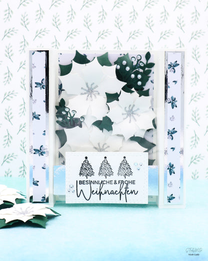 RAHMENKARTE mit Weihnachtssternen