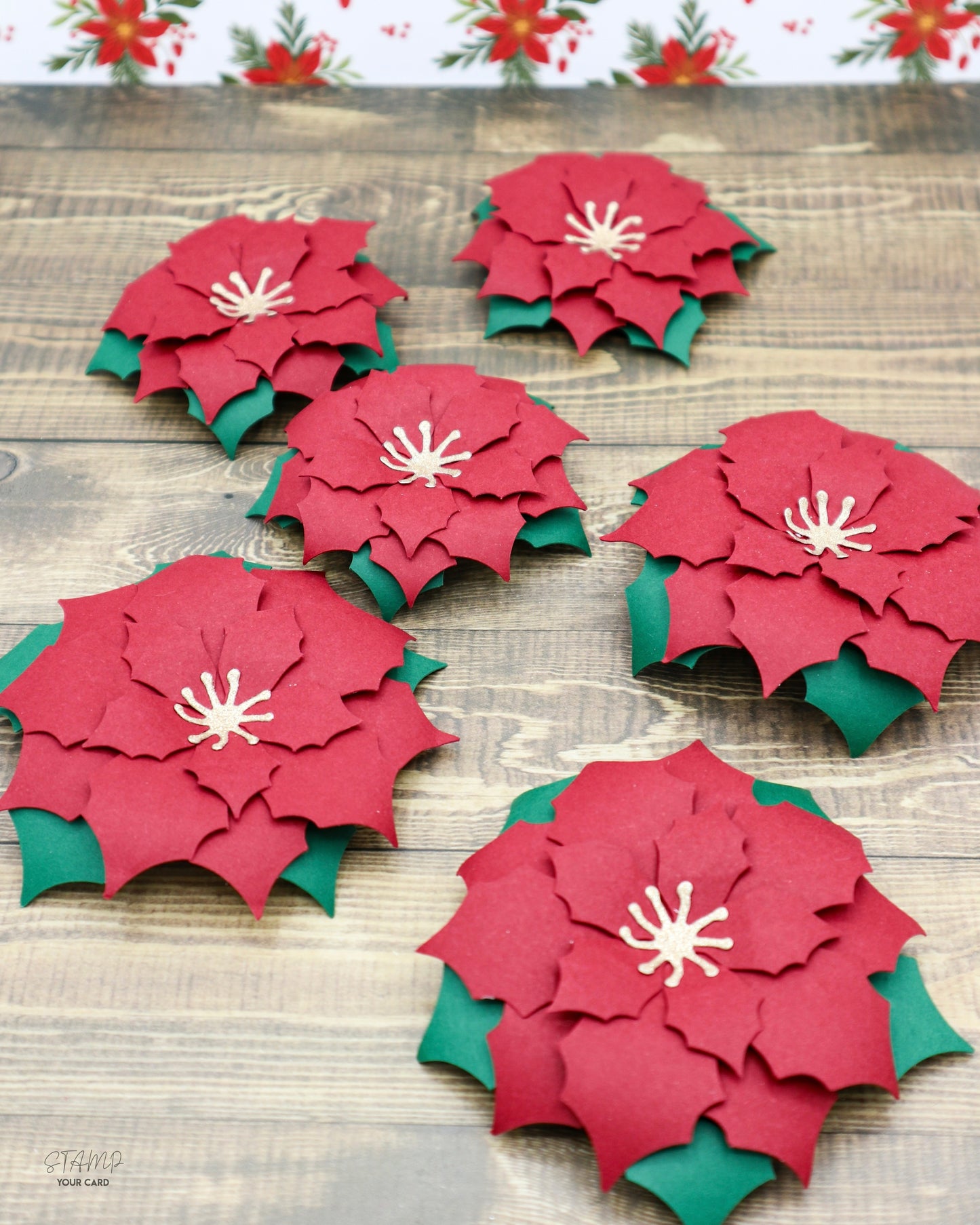 WEIHNACHTSSTERNE rot 2er SET