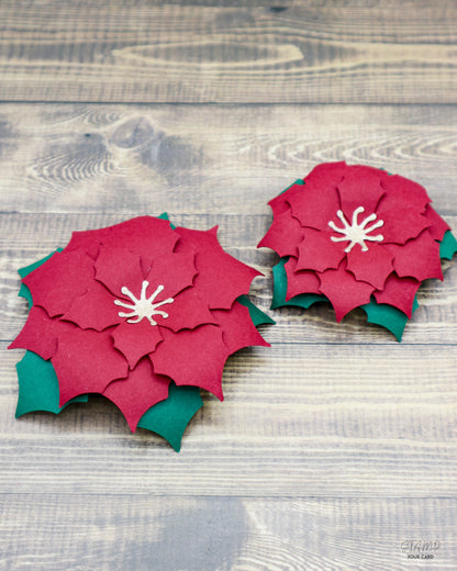 WEIHNACHTSSTERNE rot 2er SET