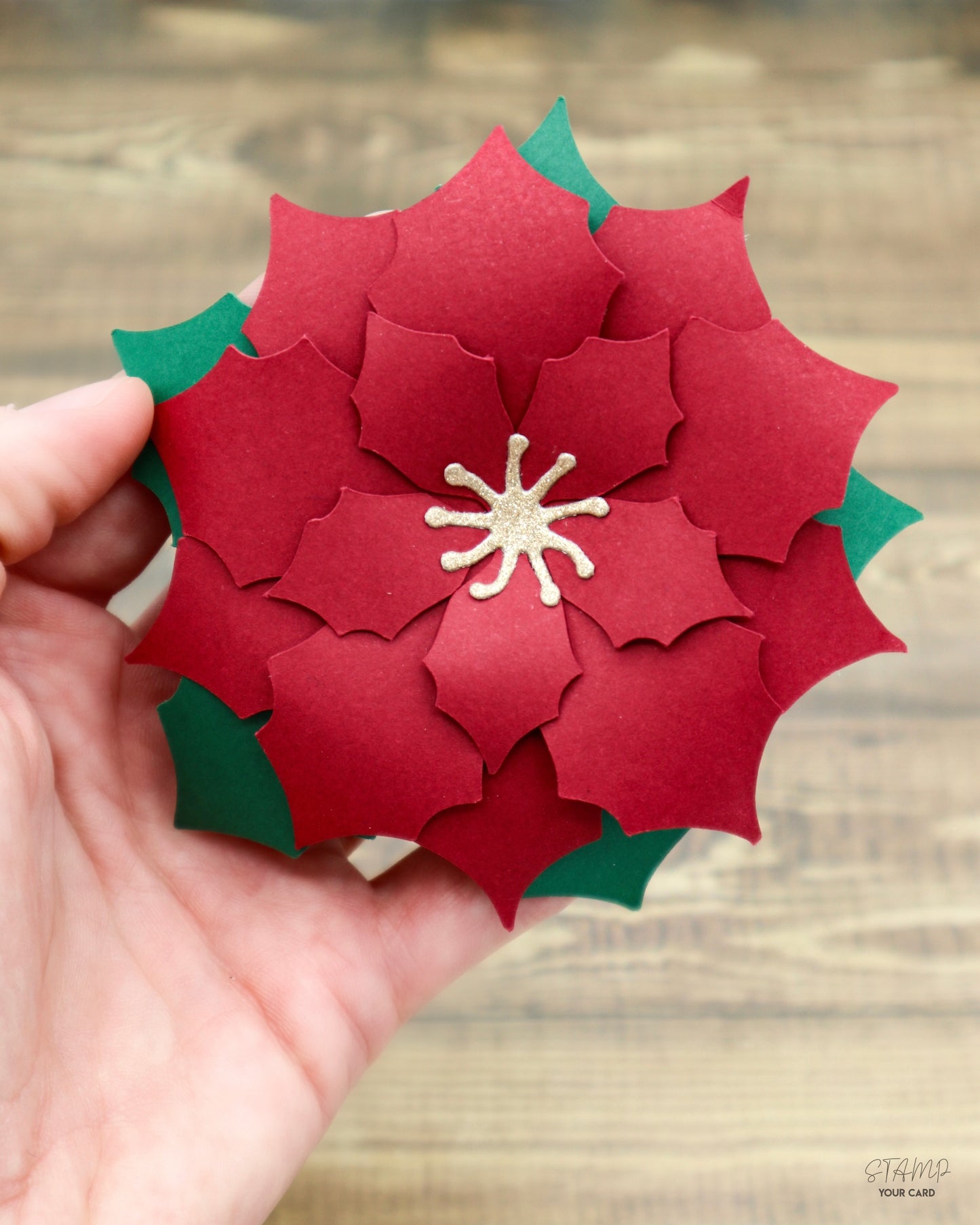 WEIHNACHTSSTERNE rot 2er SET