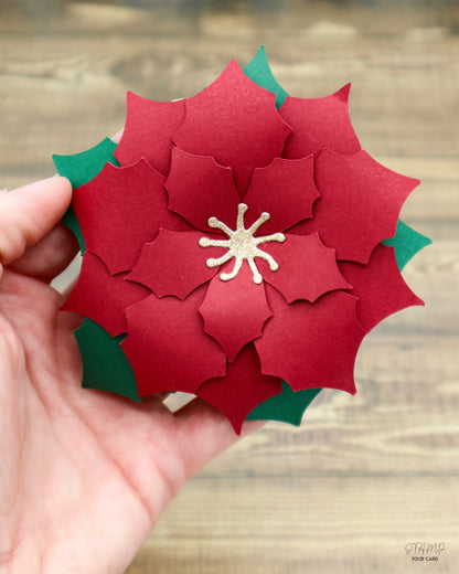 WEIHNACHTSSTERNE rot 2er SET