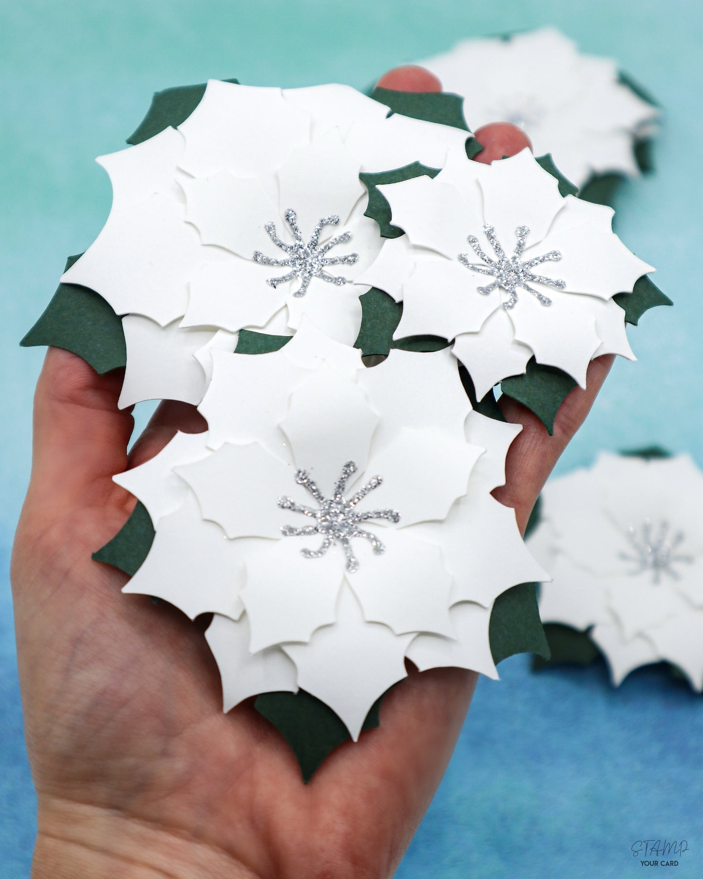 WEIHNACHTSSTERNE weiß 3er SET