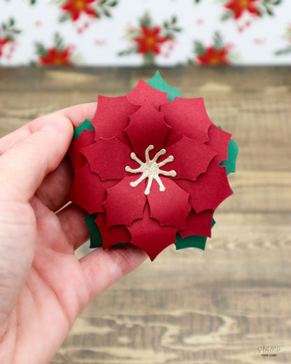 WEIHNACHTSSTERNE rot 2er SET